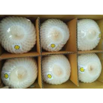 베트남산 깐코코넛 Fresh Coconut (1box / 12과), 1박스 / 12과(통)