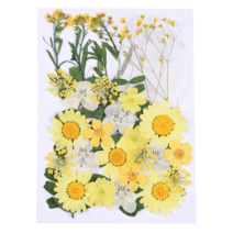 [드그라쎄] 캔들만들기 DIY재료, 41.압화 꽃모음 세트 (E)