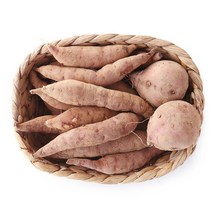 [산지직송] 안면도 황토 꿀 호박고구마 (한입)10kg, 단품