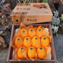 제주도 프리미엄 최고당도 제주 레드향 2kg 3kg, 레드향 가정용 2kg 7~13과, 1개