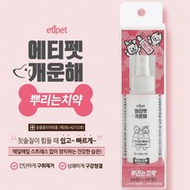 강아지 뿌리는 구강 스프레이 치약 반려견치약 펫치약, 1개