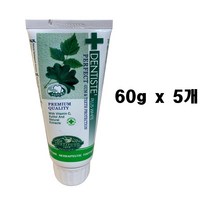 덴티스테 플러스 화이트 치약 튜브형, 60g, 5개