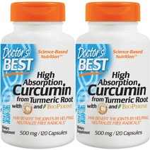 닥터스베스트 하이 앱솔션 커큐민 500mg 캡슐, 120개입, 2개