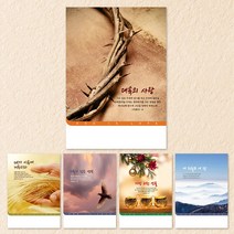 추수감사절 주보 절기주보 5종 주보용지 칼라복사용지 교회주보 기성주보 디자인주보 주보제작 견적요망, 1세트, A4