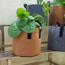 부직포 화분 베란다 텃밭 대파 키우기 5갤런 30x25, 단품