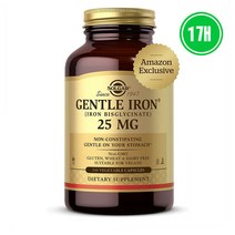 해외 Solgar 솔가 Iron 25mg 철분 240캡슐