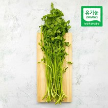 삼시세끼연구소 최상품 친환경 미나리 밭미나리 무침 삼겹살친구 200g 300g, 친환경 미나리 200g