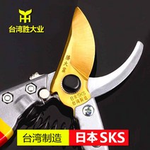 공구 전지가위 전동전지가위 양손전지가위 대만 수입 가지치기 굵은 꽃꽂이 과수 정원사 정원, 02 클래식/그린