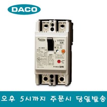 대륙 DEG32BE 30A DACO ELCB 2P 30A AC460V 2.5KA