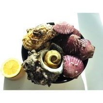 캠핑 삼배체(반손질)하프셀 굴 세트 with 홍가리비 뿔소라, 삼배체 대(2~3미), A(삼배체반손질하프셀 2팩+홍가리비 1kg)
