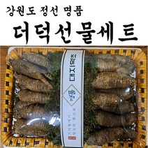 [맛고을장터] 강원도 정선 특산물 선물용 더덕선물세트 5-7년근 상품 특품 1.5kg 햇더덕, [선물용]명품정선더덕 특품 1.5kg, 1개