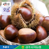 [전대표] 농협선별 공주 알밤 일반밤 2kg(대) / 2023년 햇밤 chestnut, 1개