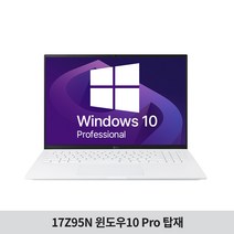 [Win10Pro] LG 그램17 gram 17Z95N-GP50ML 인텔i5 업무용 기업용 노트북 추천, 윈도우10Pro, 8GB, 256GB, 코어i5, 화이트
