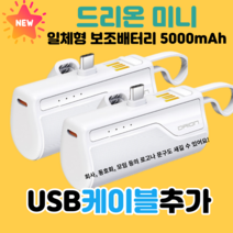 드리온 일체형 미니 보조배터리 5000mAh 8핀 1+1+방수팩, C+C