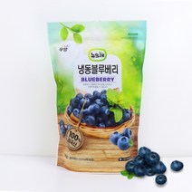 [푸르젠] [뉴뜨레]냉동 블루베리홀 1kg