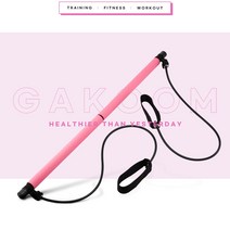 집에서 할수있는 운동 가정용리포버 여자 홈트 홈트레이닝 기구 뱃살빼는운동 임산부운동, 퍼플