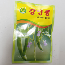 안산 플라워마트 상추 씨앗, 1개, 강낭콩