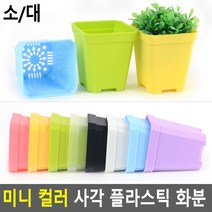 컬러 플라스틱화분 1P 사각 미니화분 꽃받침 이쁜화분, 소 - 핑크