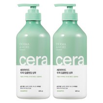 더마앤모어 세라마이드 샴푸, 2개, 600ml