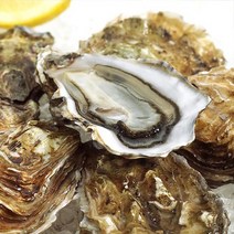 국내산 여수 석화 키로별 5kg/10kg, 01. 국내산 여수 석화 5kg