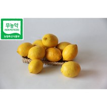 제주 레몬 친환경 무농약 레몬 3Kg