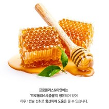 대상포진 몸속 염증 제거 에 좋은 프로폴리스 면역력 항산화 플라보노이드 염증영양제, 기본 1개