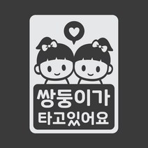 아기가타고있어요 아기차량 스티커 LMCC-051 쌍둥이 자매, 1개, 반사