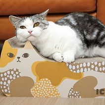 아이캣 도도한 냥이 고양이 스크래쳐, 없음