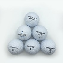 빅야드 화이트 2피스 3피스 A-급 로스트볼 10알 필드 라운딩용 물세척 창고직영 로스트볼