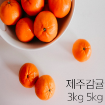 제주명품감귤 껍질얇은 귤 귤10키로 제주도귤택배 감귤단귤 감귤10키로 저농약귤 서귀포맛좋은감귤 당도높은귤 맛좋은감귤 싱싱한감귤 달달한귤 제주감귤 10키로 5키로 10kg 5kg, 감귤 5kg 중대과 x 1박스