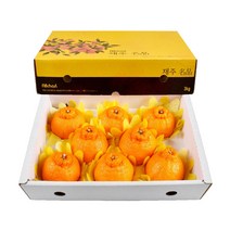 삼다몰 제주 한라봉 3kg 5kg 10kg, 한라봉(특대) 3kg(7~8과), 1박스
