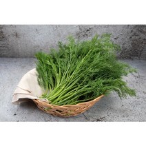딜 가락시장 (500g), 1개