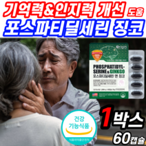 뇌 영양제 포스파티딜세린 식약청 인증 징코 빌로바 기억력 인지력 두뇌 건강 포스파라 포스파티 딜세린 포스파티딜 포스파티 포스타 세린 포스파 포스파디 딜린 포스 쎄린 타티딜 사은품, 1박스 (47,620원 할인), 1200mgX60캡슐