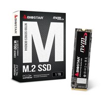 Biostar M700 M.2 2280 (1TB)