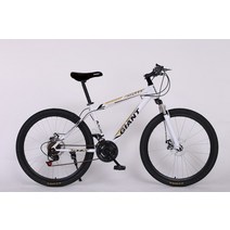 전기 산악자전거 MTB 광폭타이어 입문 출퇴근용 산악 자전거 한 바퀴 스포츠카 성인 학생용 오프로드 레이, 04 4_02 26inch