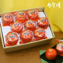 [산들네] 껍질째 먹는 경북 세척사과 2kg 9과내 (중과) x 2박스 /총4kg 18과내
