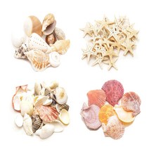 장식용 만들기용/ 조개껍데기 소라모형 고둥 불가사리, B15 장식용조개 소라고둥