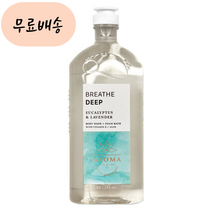 SG솔루션 BBW 배쓰앤바디웍스 아로마테라피 유칼립투스 라벤더 샤워젤, 1개