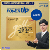 비타민C 골드플러스 업그레이드 파워업 고려은단 16개월분 480정 면역 건강기능식품, 1130mg x 1박스
