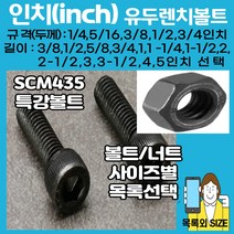 볼트가게 인치 유두렌치볼트; 1/4-1과1/4인치 특강인치볼트, 1개