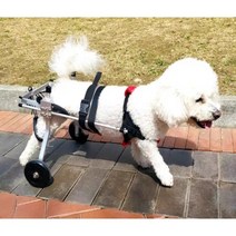 강아지 휠체어 보행기 애견의족 슬개골보호대, 레드 XXS형 치와와 고양이