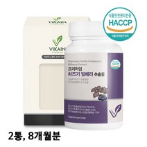 눈엔 차즈기 눈영양제 프리미엄 국산 차즈기추출물 차조기 차지기 빌베리 자소엽 효능 식약처 해썹 인증, 프리미엄120정x2통