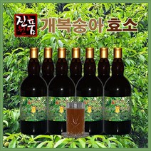 장녹원 개복숭아효소 1100ml, 4병