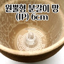 뿌리활착 도움 원뿔형 분갈이망 1P 플라스틱 6CM 다육식물키우기 특이한선인장 키우기좋은식물