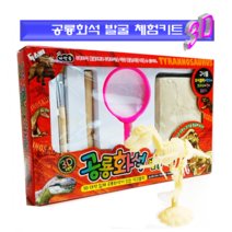 [독스퍼] 공룡화석 발굴키트 고고학자 체험 공룡뼈 화석 체험 단품, 4) 3종 x 1세트