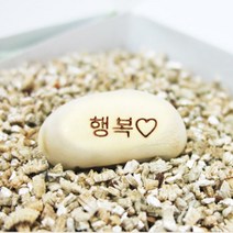 작두콩 키우기 종자 구근식물 씨앗