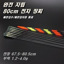 80cm 완전자립 전자 장찌 민물 전자찌 스마트찌 민물낚시찌 하우스 찌 중층 수제 고부력 저부력 내림 나노 올림찌 장찌, PQ09(67.5cm/1.2g)