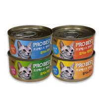 프로베스트 캣푸드 고양이 간식캔, 참치 + 연어 혼합맛, 60개