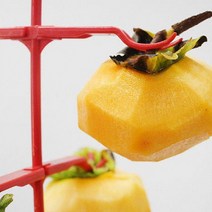 L곶감걸이 10개용 4개용 수제 DIY곶감 말랭이 꽂이 감건조기 과일말리기 감, EP4개걸이곶감 레드