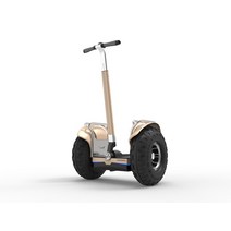 2021 Eswing Es6 19 인치 E-밸런서 스마트 앱 셀프 밸런싱 전동 스쿠터 오프로드, [04] Golden with golf